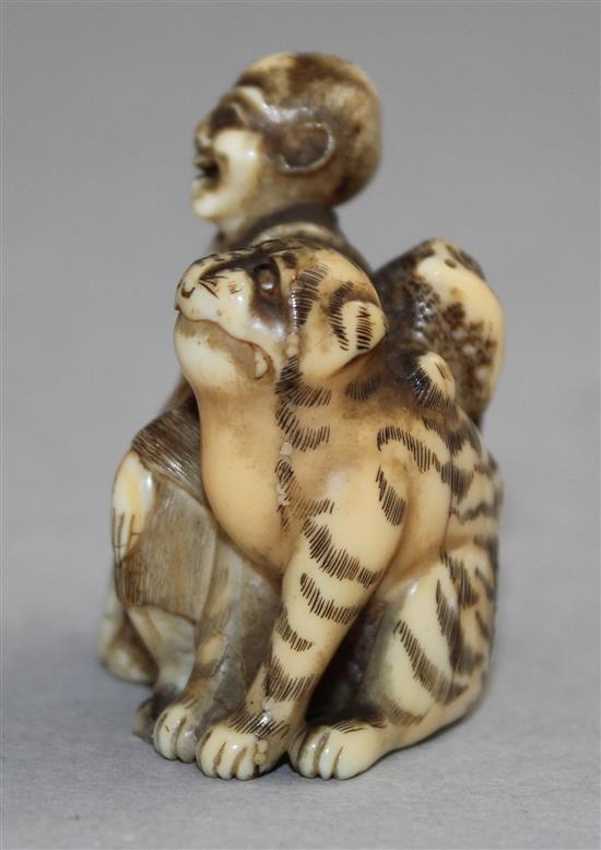 A Japanese walrus ivory netsuke of Binzuru Rakan and a tiger, Meiji period, 4.1cm